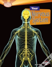Capa do artigo Your Nervous System