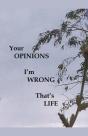 Your Opinions I'M Wrong That'S Life - Preview