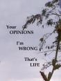Your Opinions I'M Wrong That'S Life - Preview