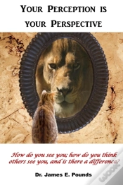 Capa do artigo Your Perception Is Your Perspective