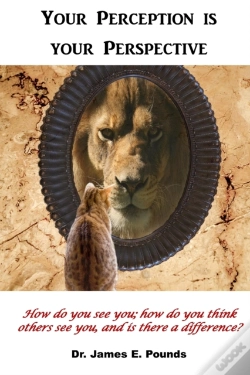 Capa do artigo Your Perception Is Your Perspective