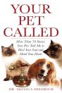 Your Pet Called - Preview