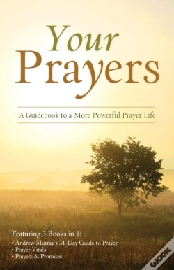 Capa do artigo Your Prayers