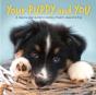 Your Puppy And You: A Step-By-Step Guide - Preview
