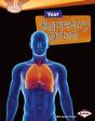 Your Respiratory System - Preview