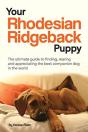 Your Rhodesian Ridgeback Puppy - Preview
