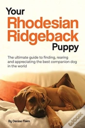 Capa do artigo Your Rhodesian Ridgeback Puppy