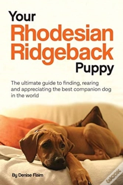 Capa do artigo Your Rhodesian Ridgeback Puppy