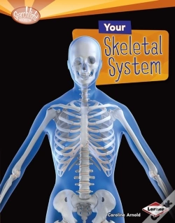 Capa do artigo Your Skeletal System