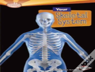 Your Skeletal System