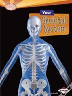 Capa do artigo Your Skeletal System