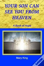 Capa do artigo Your Son Can See You From Heaven