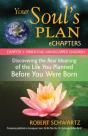 Your Soul'S Plan Echapters - Chapter 3: Parenting Handicapped Children - Preview