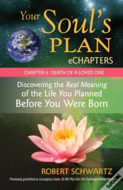 Capa do artigo Your Soul'S Plan Echapters - Chapter 6: Death Of A Loved One