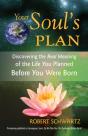 Your Soul'S Plan - Preview