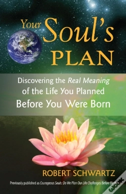 Capa do artigo Your Soul'S Plan