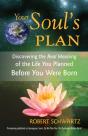 Your Soul'S Plan - Preview