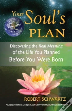 Capa do artigo Your Soul'S Plan