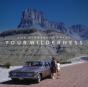 Your Wilderness - CD - Preview