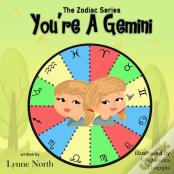 You'Re A Gemini
