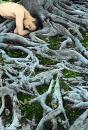 Youssef Nabil: Once Upon A Dream - Preview