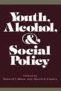 Youth Alcohol & Social Policy - Preview
