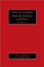 Youth Crime And Juvenile Justice - Preview