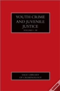 Capa do artigo Youth Crime And Juvenile Justice