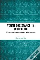 Youth Desistance In Transition