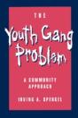 Youth Gang Problem - Preview
