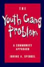 Youth Gang Problem - Preview