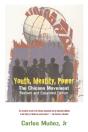 Youth, Identity, Power - Preview
