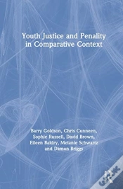 Capa do artigo Youth Justice And Penality In Comparative Context
