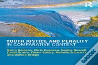 Youth Justice And Penality In Comparative Context