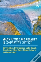 Capa do artigo Youth Justice And Penality In Comparative Context