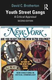 Capa do artigo Youth Street Gangs