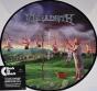 Youthanasia - Vinil - Preview