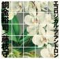 Yuji Dogane & Mamoru Fujieda: Ecological Plantron - CD - Preview