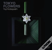 Capa do artigo Yuji Kobayashi