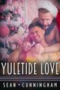 Yuletide Love - Preview