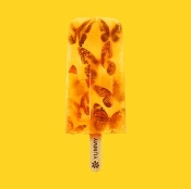 Capa do artigo Yummy - CD