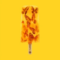 Capa do artigo Yummy - CD