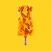 Capa do artigo Yummy - Vinil