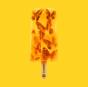 Yummy - Vinil - Preview