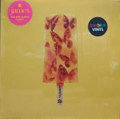 Capa do artigo Yummy - Vinil