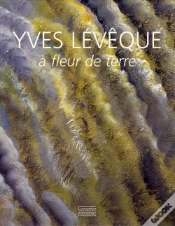 Capa do artigo Yves Lévêque À Fleur De Terre 1962-2007 ; Quarante-Cinq Ans De Peinture