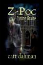 Z Poc - Preview