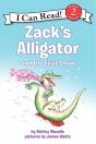 Zack'S Alligator And The First Snow - Preview