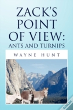 Capa do artigo Zack'S Point Of View