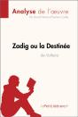 Zadig Ou La Destinée De Voltaire (Analyse De L'Oeuvre) - Preview